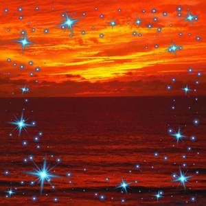 Meet your Posher, Bill